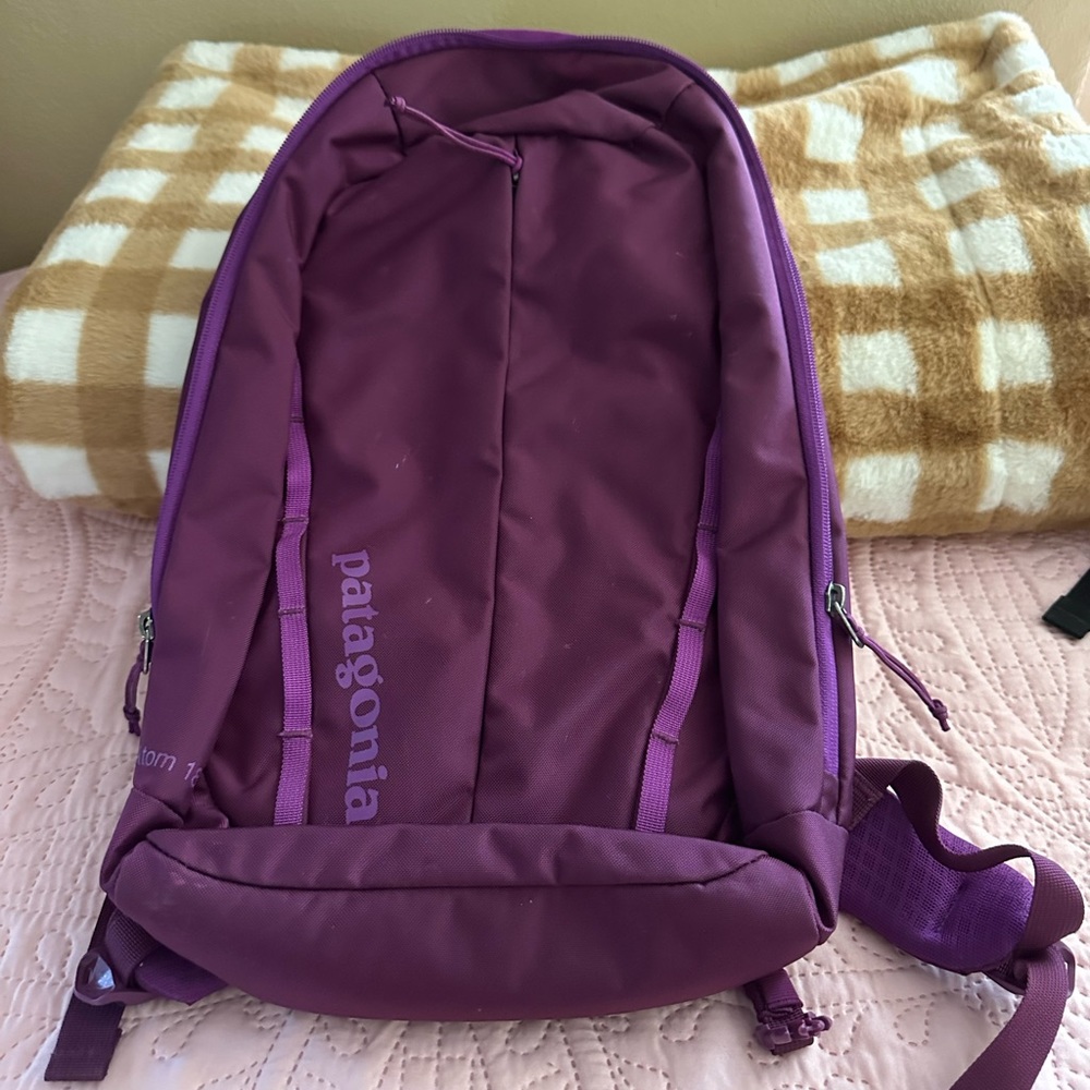 Patagonia Backpack
